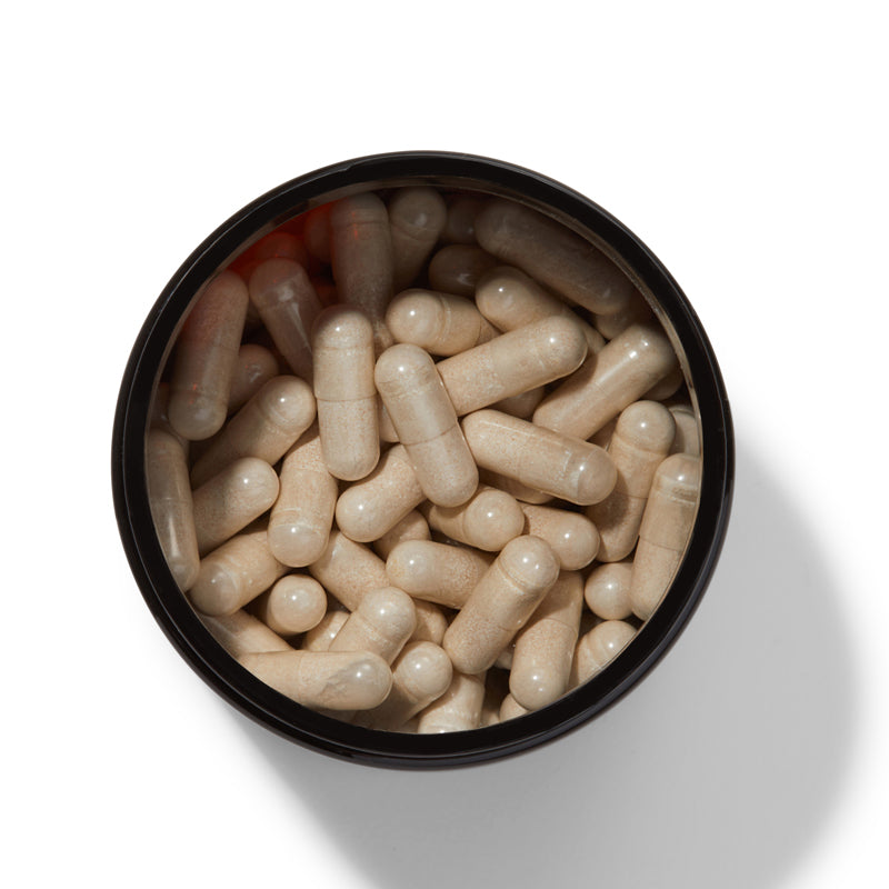 Night Supplement