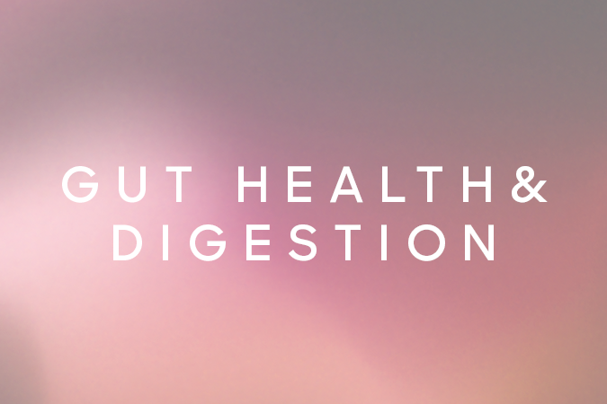 Gut Health & Digestion